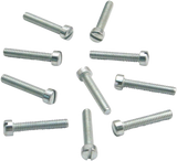 Slotted Flat Head Screws - 10-Pack