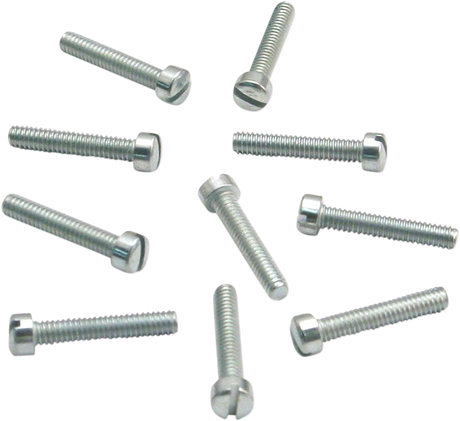 Slotted Flat Head Screws - 10-Pack