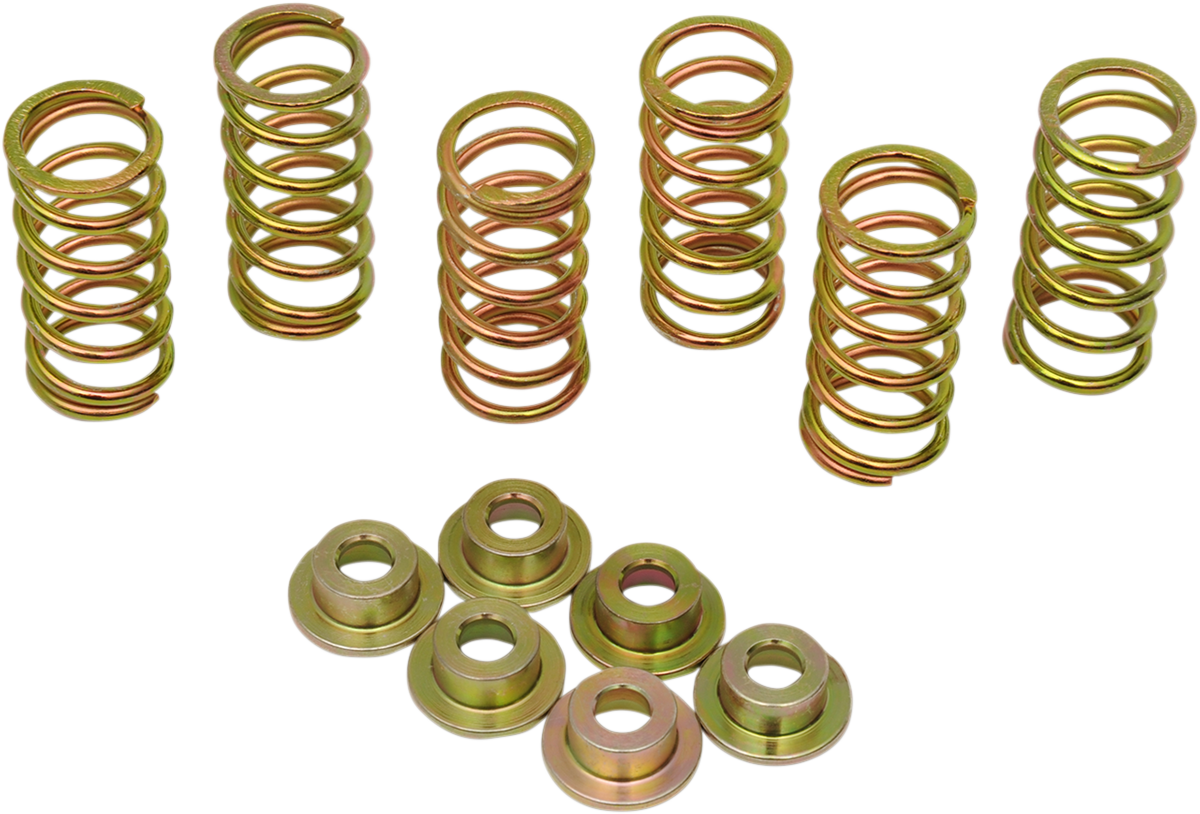 Clutch Spring Kit 1994 - 2008