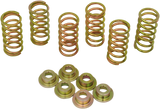 Clutch Spring Kit 1994 - 2008