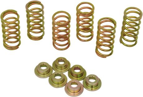 Clutch Spring Kit 1994 - 2008