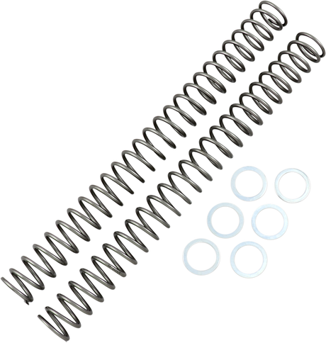 Fork Springs - 0.40 kg/mm 2010 - 2013