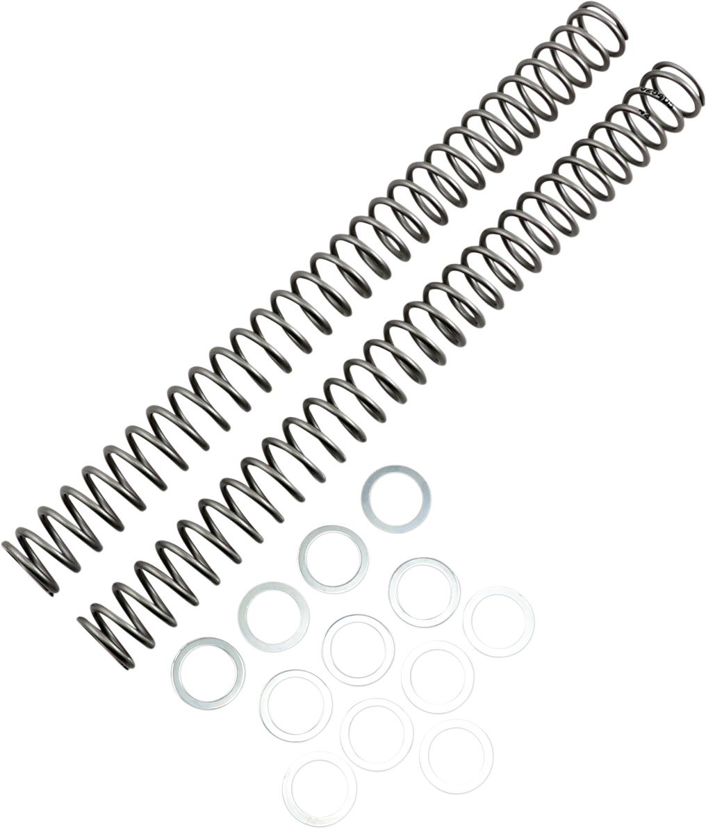 Fork Springs - 0.42 kg/mm 2002 - 2016