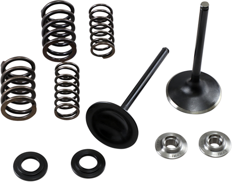 Intake Spring Kit 2006 - 2014