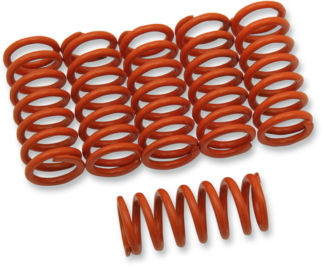 Clutch Spring Kit 2007 - 2009