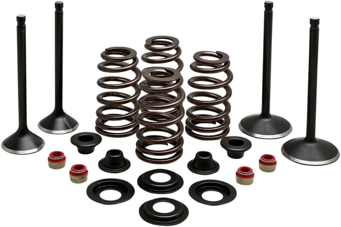 Complete Valve Kit - Evolution/1200 1988 - 2003