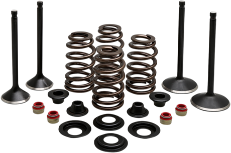 Complete Valve Kit - Evolution/1200 1988 - 2003