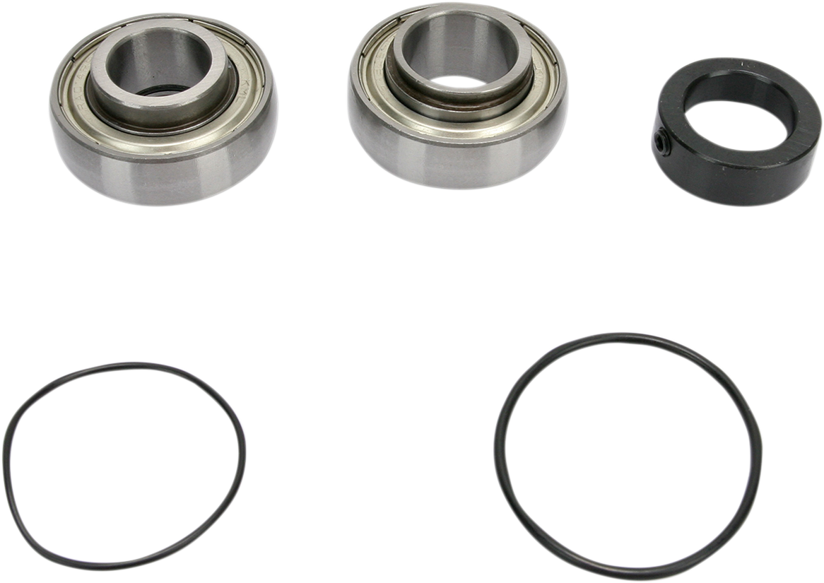 Chain Case Bearing and Seal Kit 2003 - 2006