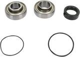 Chain Case Bearing and Seal Kit 2003 - 2006