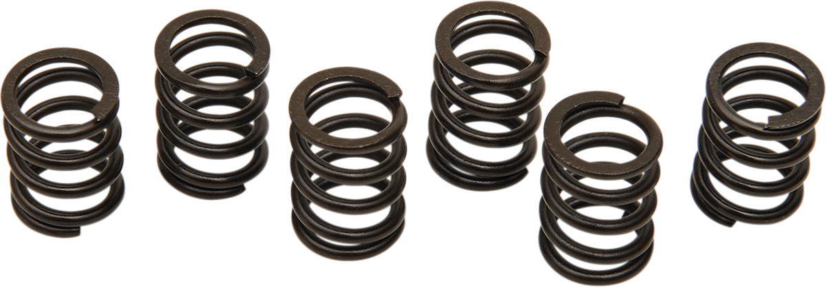 Clutch Spring Set 1998 - 2003