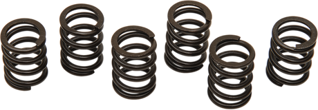 Clutch Spring Set 1998 - 2003