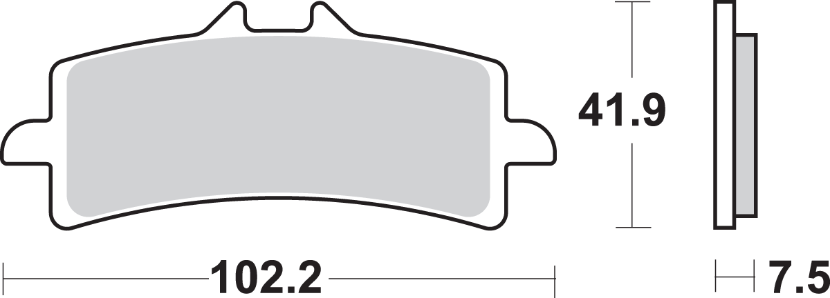 HS Brake Pads - 841HS 2020 - 2020