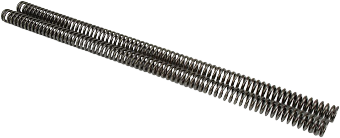 Fork Springs - Kawasaki 2010 - 2023