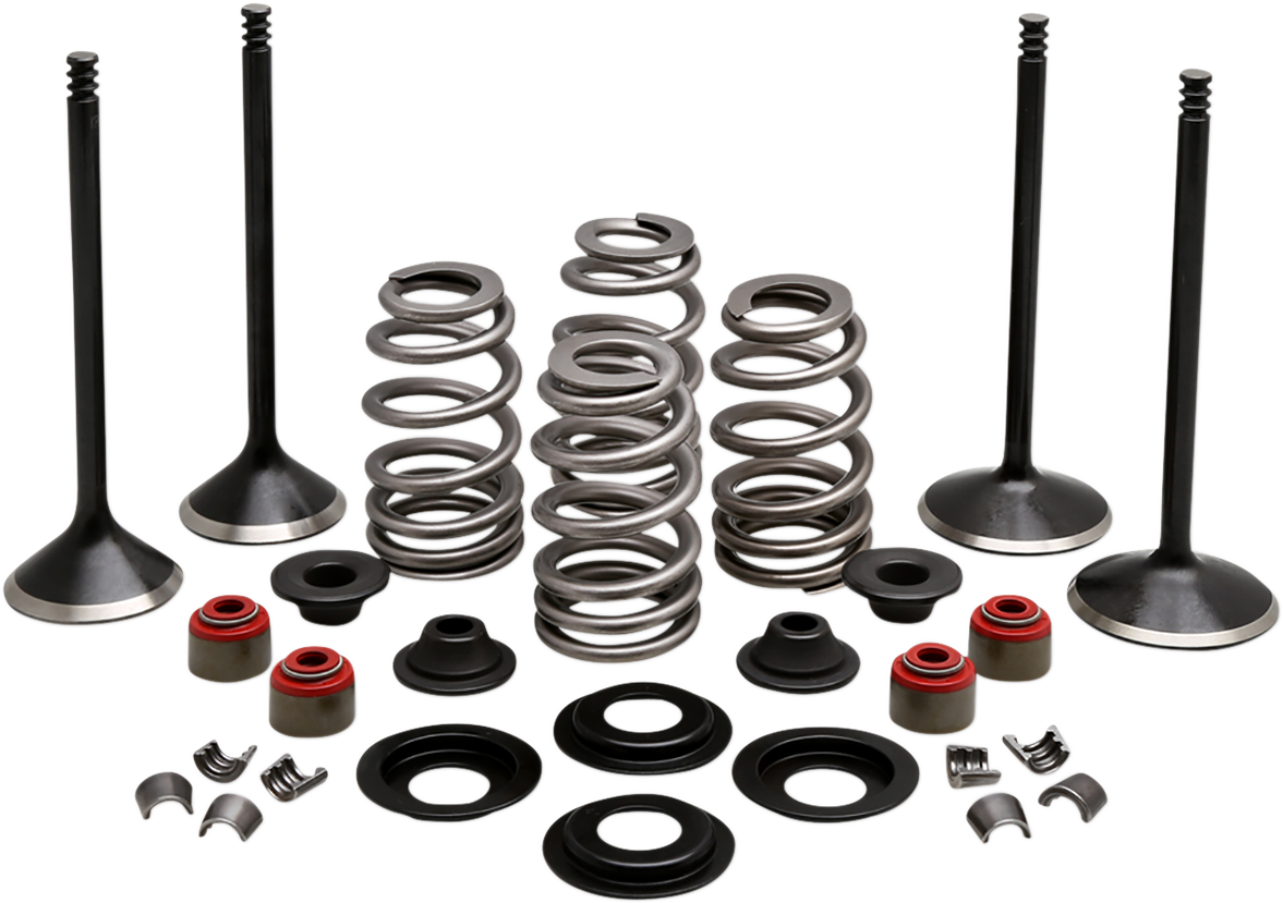 Complete Valve Kit - Evolution/1200 2004 - 2022