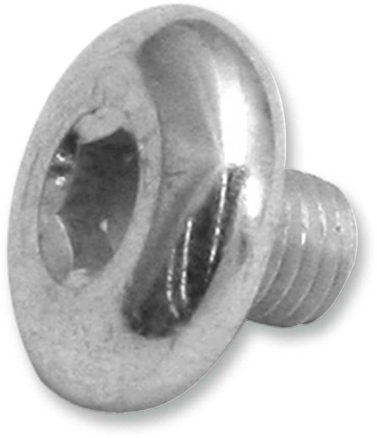 Replacement Air Cleaner Screw - Breather Screw - 5/16\"