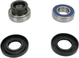 Chain Case Bearing and Seal Kit 1996 - 2000