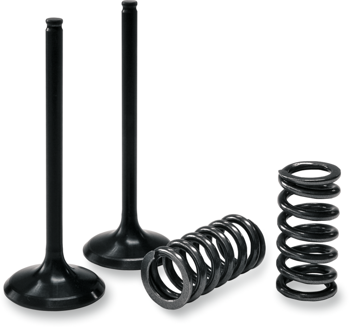 Valve and Spring Kit - Intake - Honda 2002 - 2008