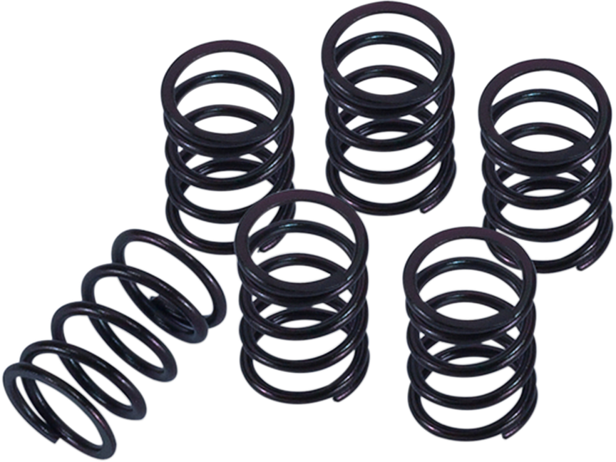 Clutch Spring Kit 2014 - 2023