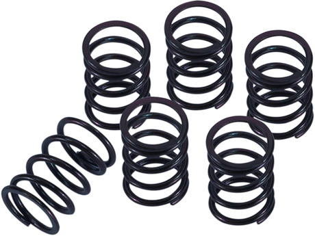 Clutch Spring Kit 2014 - 2023