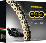 Chain and Sprocket Kit - Triumph - FZ1 - \'06-\'15 2006 - 2015