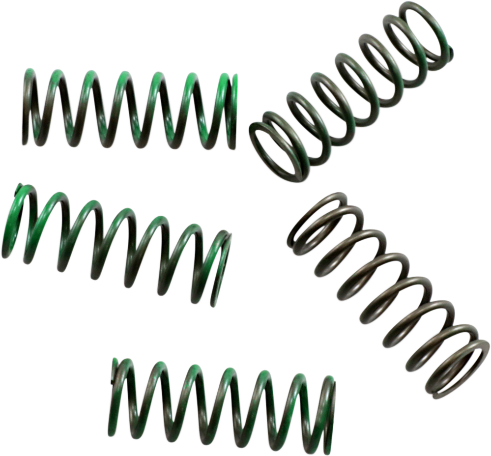 Clutch Spring Kit 2004 - 2022