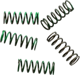 Clutch Spring Kit 2004 - 2022