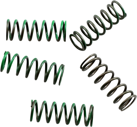 Clutch Spring Kit 2004 - 2022