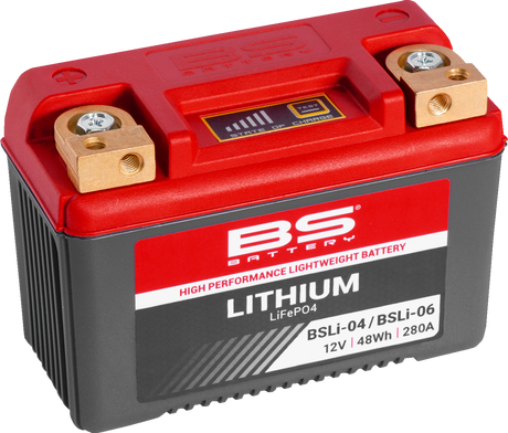 Lithium Battery - BSLi-04/06 1972 - 2023