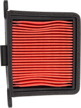 OEM Replacement Air Filter - Left - Triumph 2017 - 2019