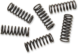 Clutch Spring Kit 2005 - 2009