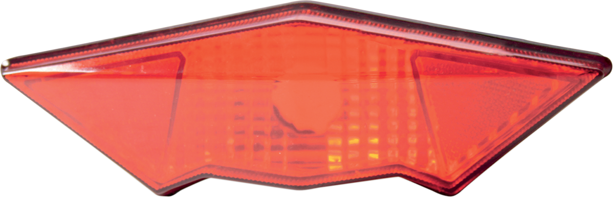 Taillight Lens - Ski-Doo 2008 - 2020