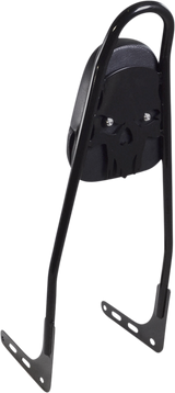 One-Piece Sissy Bar - Gloss Black - Skull - With Pad 2018 - 2023