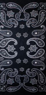 Neck Tube - Black/White Paisley