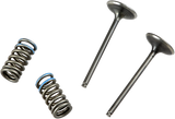 Valve and Spring Kit - Intake - Honda 2008 - 2009