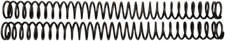 Front Fork Springs - 0.46 kg/mm 2013 - 2023