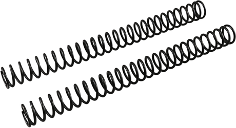 Front Fork Springs - 0.46 kg/mm 2006 - 2022