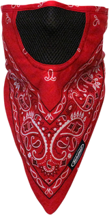 Facefit Facemask - Red Paisley