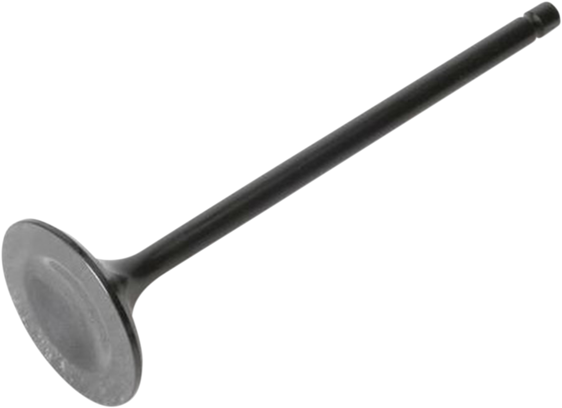 Exhaust Valve 1996 - 2009