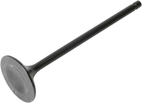 Exhaust Valve 1996 - 2009