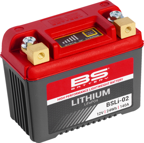 Lithium Battery - BSLi-02 1966 - 2023