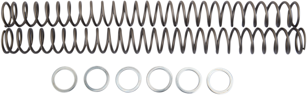 Fork Springs - 0.40 kg/mm 2005 - 2013