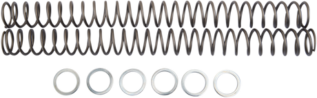 Fork Springs - 0.40 kg/mm 2005 - 2013