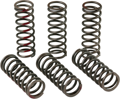 Clutch Springs - CRF 450R 2013 - 2020