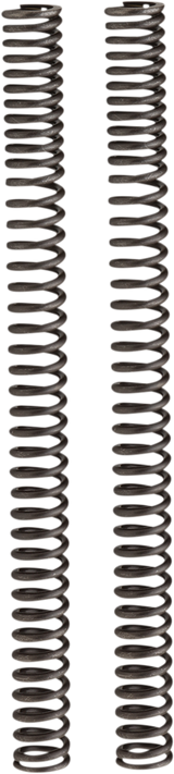 Fork Springs - 41.00 mm 2016 - 2021