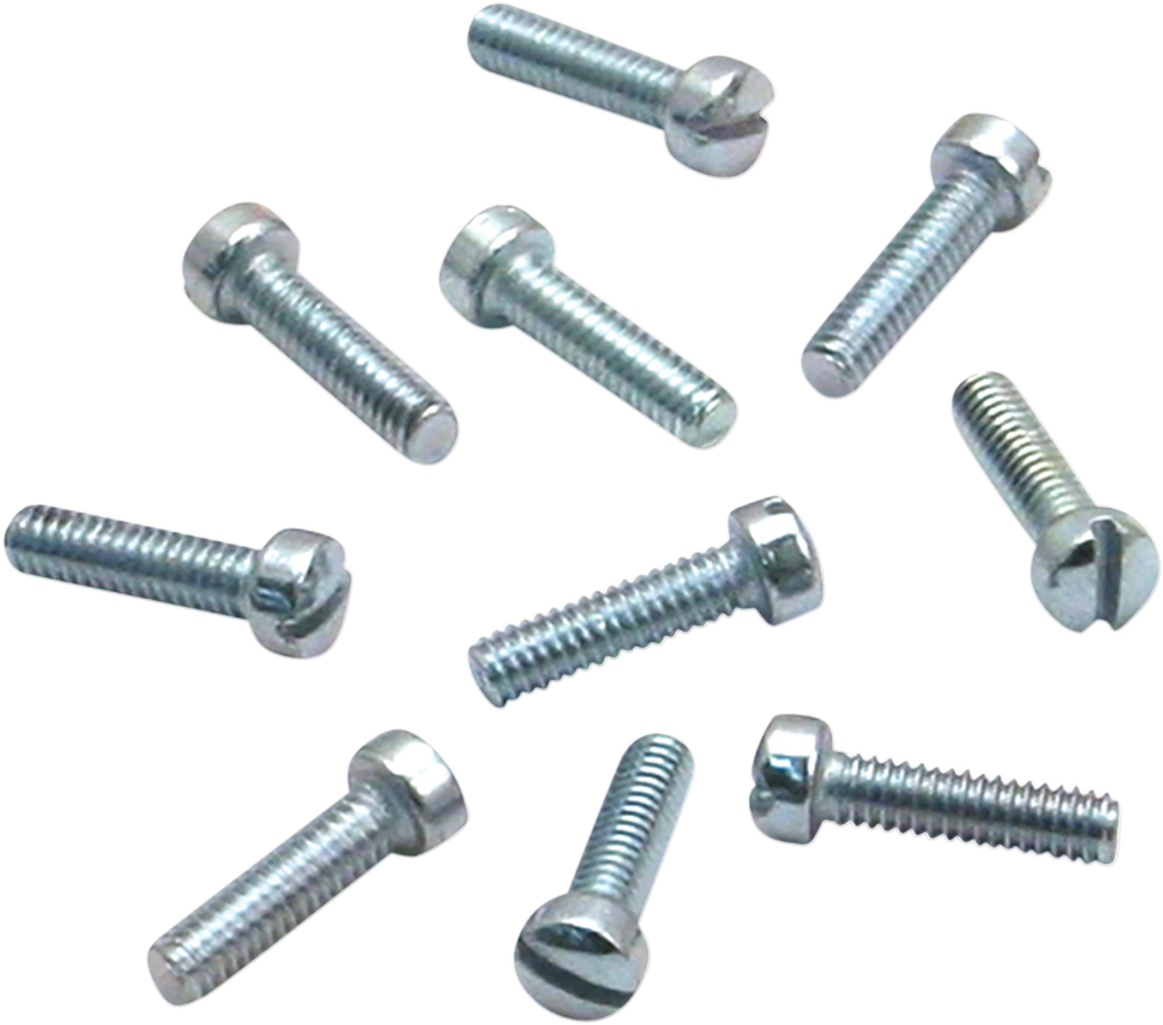 Slotted Flat Head Screws - 10-Pack