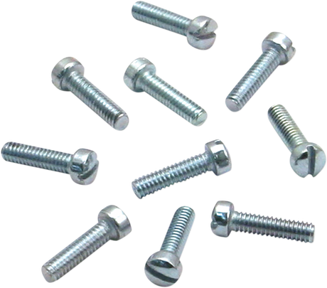 Slotted Flat Head Screws - 10-Pack