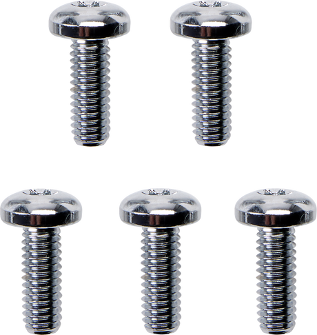 Rotor Bolt Set - Cast - Chrome 1982 - 2017