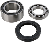 Chain Case Bearing and Seal Kit 2006 - 2013