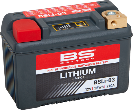 Lithium Battery - BSLi-03 1968 - 2023