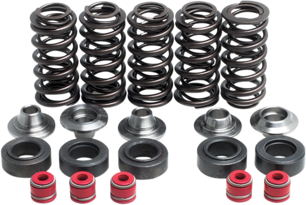 Valve Spring Kit 1998 - 2002